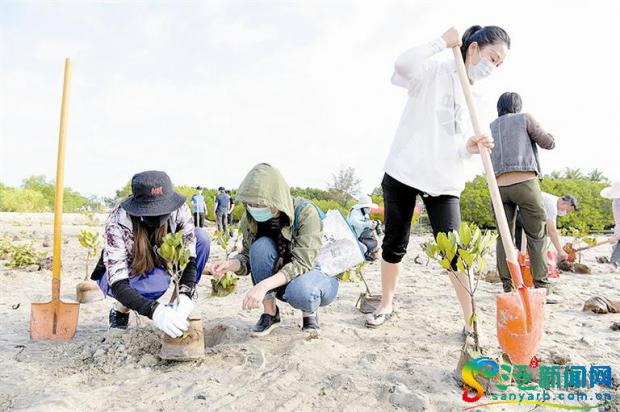 活动丨170余名志愿者在三亚海棠区铁炉港种下“巾帼林”